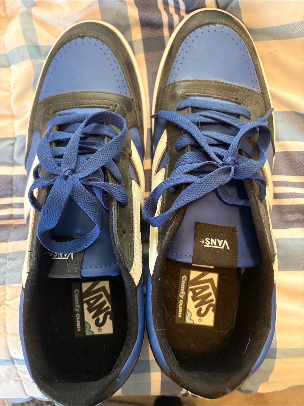 Vans Blue and Black Low-Top Sneakers with White Side Stripe